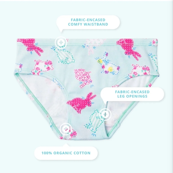 Gracie Girls Briefs - Organic Cotton BRAND New (7 pack) Size 2/3 - Toddler - Picture 6 of 10
